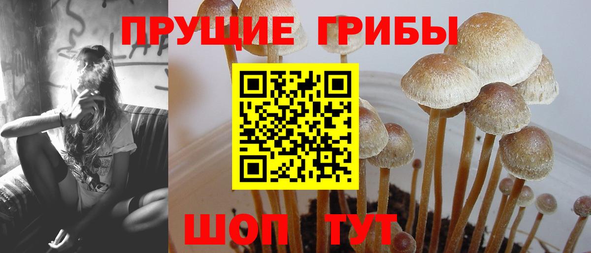 Псилоцибиновые грибы ЛСД  Вход с VPN  Юрга  хочу наркоту  Галлюциногенные грибы прущие грибы 